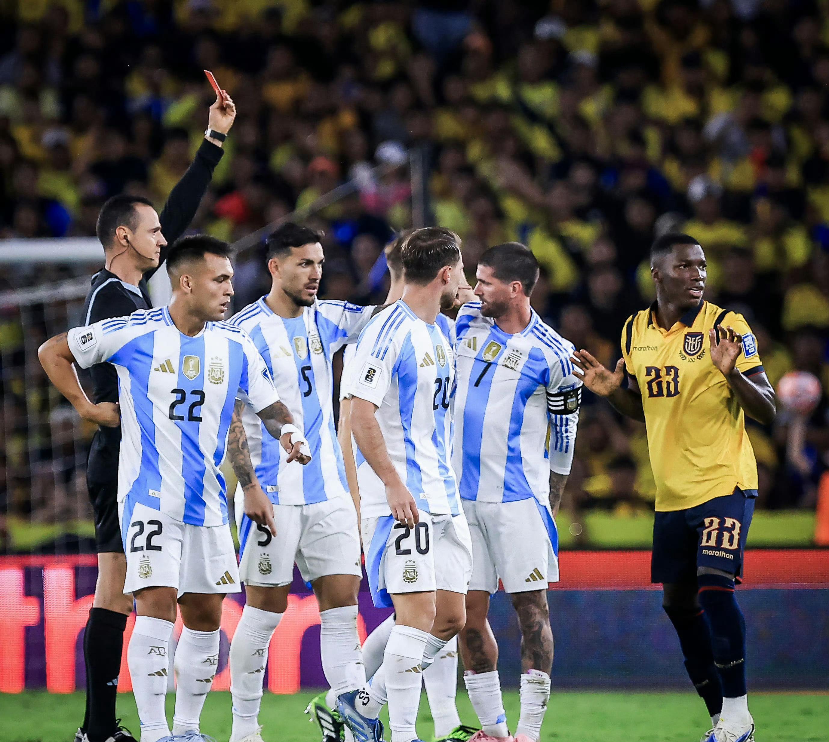 entit, 了阿根廷队 entit, 了阿根廷队